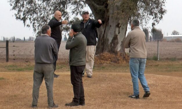 La Comisión de Canchas de la AAG recorrió el predio del Jockey Club